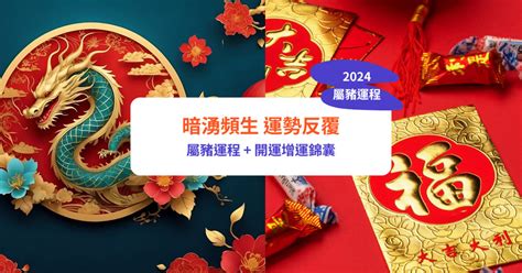 2024生肖豬|【屬豬2024生肖運勢】暗湧頻生，運勢反覆｜屬豬運 